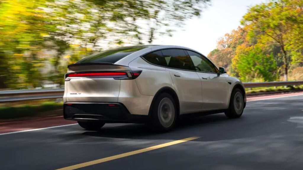 Model Y