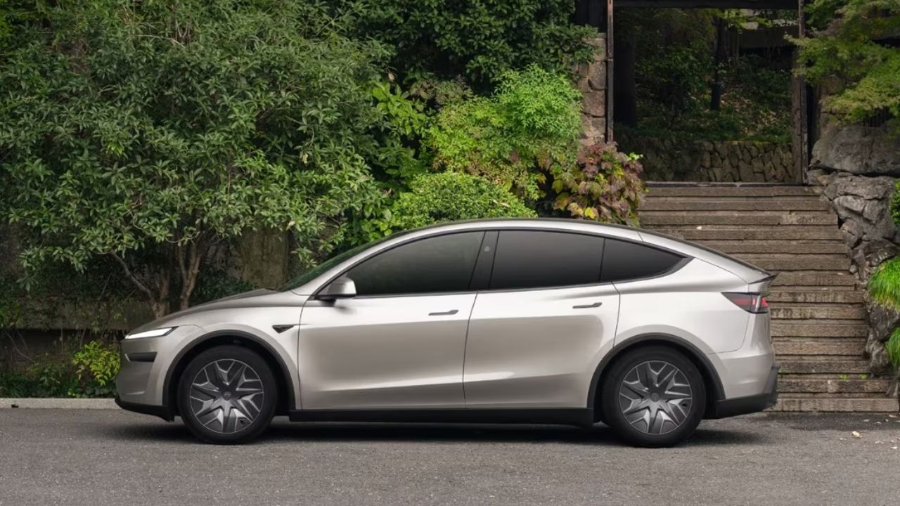 Model Y L